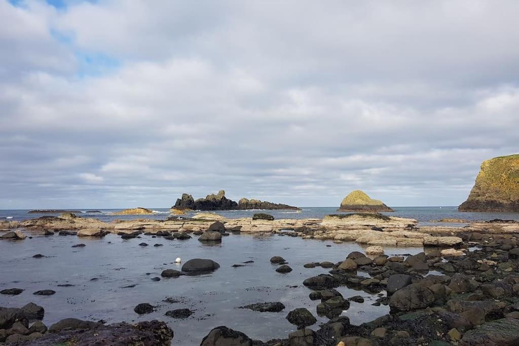 Mcconaghys Glenside Farmhouse Whitepark Bay Ballintoy Bagian luar foto